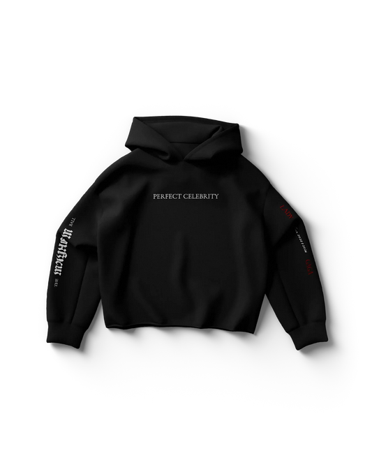 Black Lady Gaga hoodie front view with white "Perfect Celebrity" text and sleeve graphics